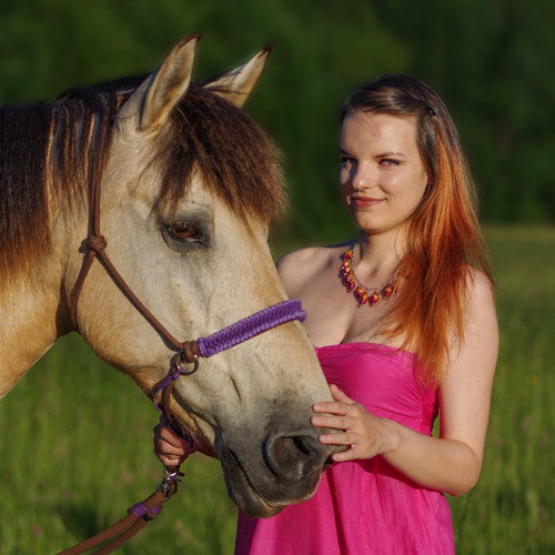 Sada růže v dešti IV. — foto 1