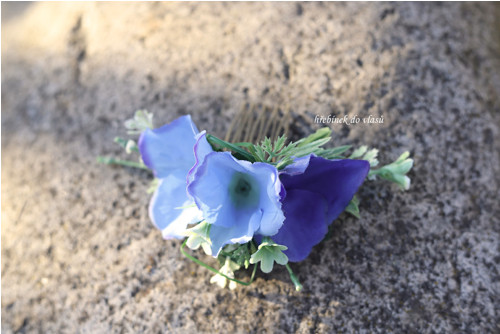 Modrý hřebínek hřebínek — foto 1