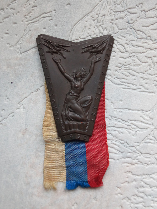 VII. Všesokolský slet