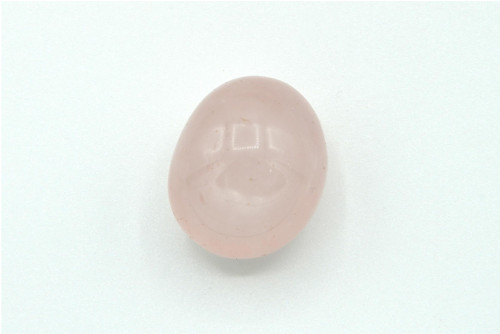 Růženín Asterický 2,5 cm — foto 1