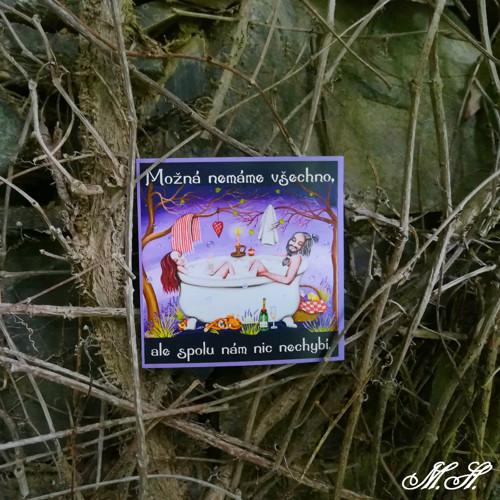 Možná nemáme všechno... - magnetka - v bublinách