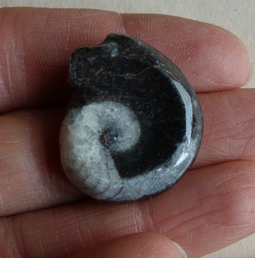 Goantit - 2,7 cm