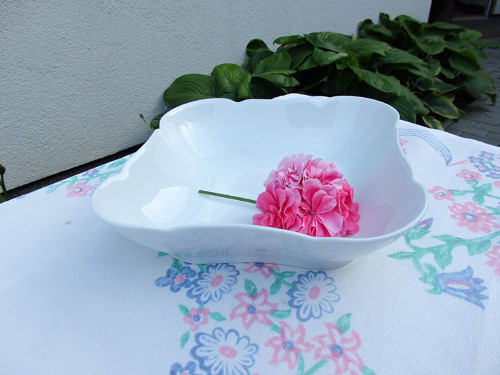 Coleslaw - porcelánová mísa