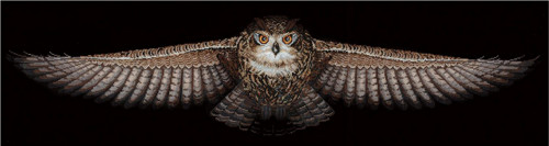 Obraz vyšívaný křížkovým stehem - sova, — foto 1