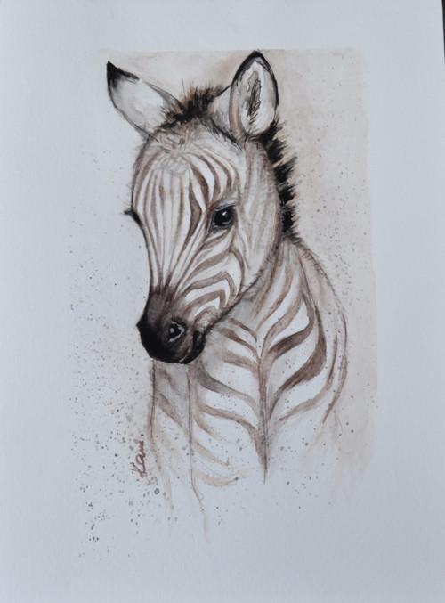 Malá zebra — foto 1