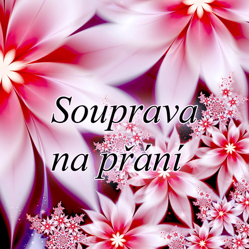 Souprava na přání — foto 1
