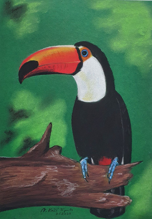 Tukan