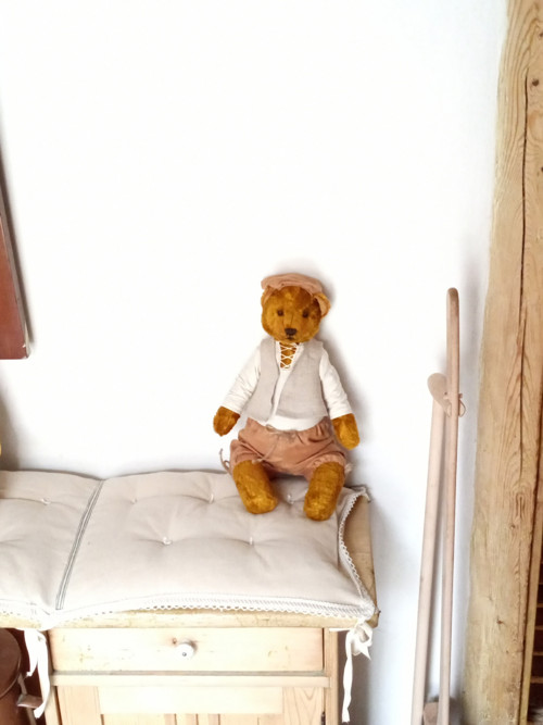 Mladý Bruin — foto 1