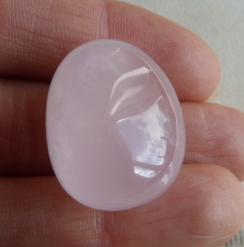 Růženín asterický - 2,7 cm (RA8)