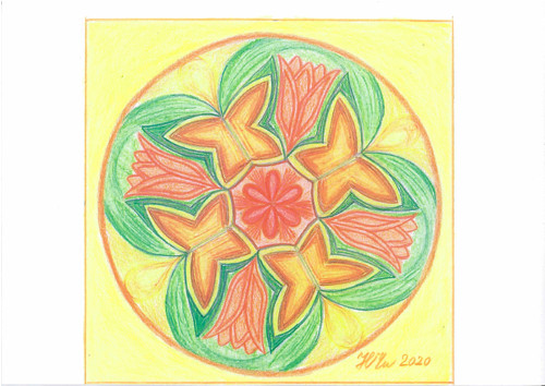 Mandala-Motýlí křídla