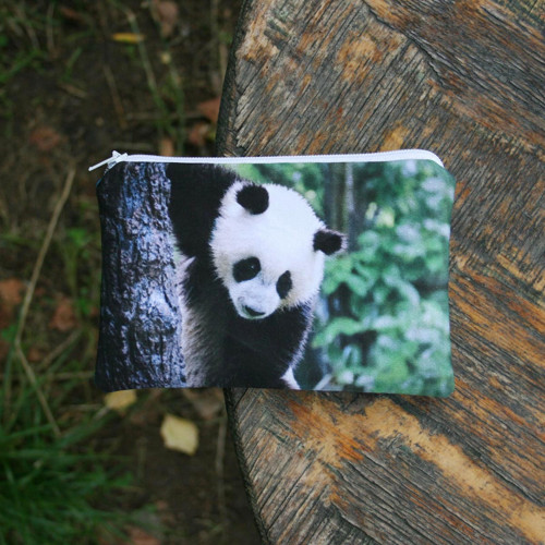 KAPSIČKA MALÁ Panda — foto 1