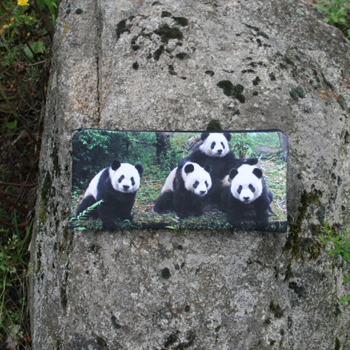 PENÁL Pandy — foto 1