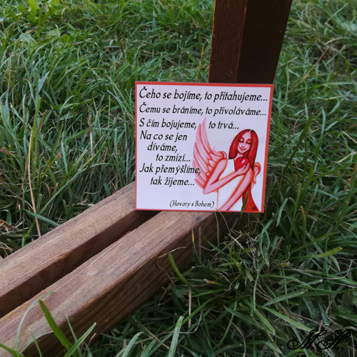 Čeho se bojíme... - magnetka
