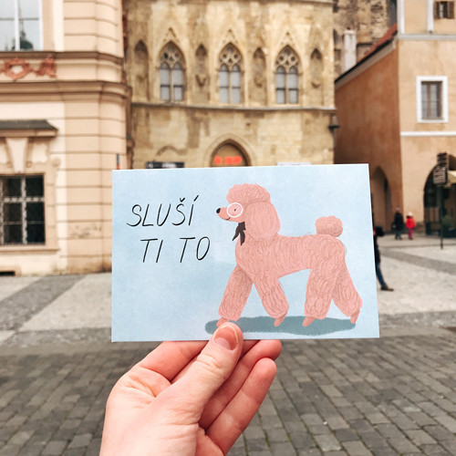 Pohlednice Sluší ti to
