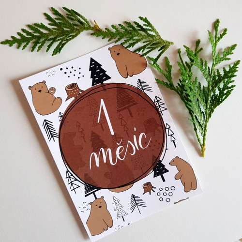 Milníkové kartičky - medvídci