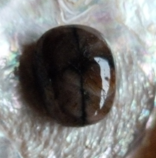 Chiastolit - 2,8 cm - Extra — foto 1