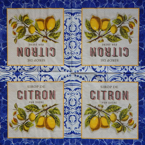 Citrony na větvičce 3402