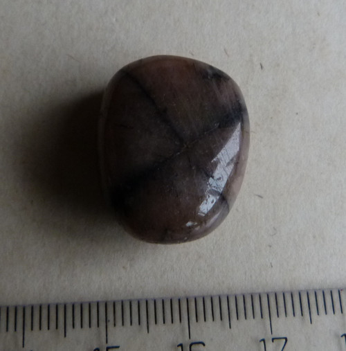 Chiastolit - 2,3 cm - Extra — foto 1
