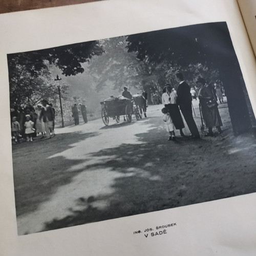 Fotografický obzor ... svázaný roč. 1929