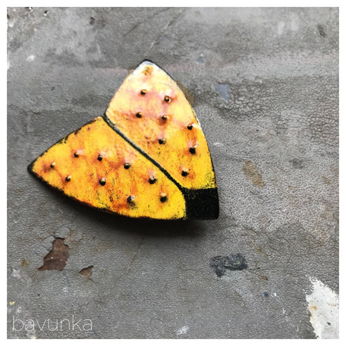 Můra žlutá — foto 1