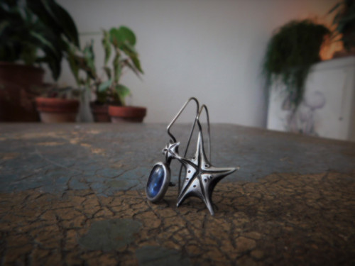 Octopus's Garden... — foto 1