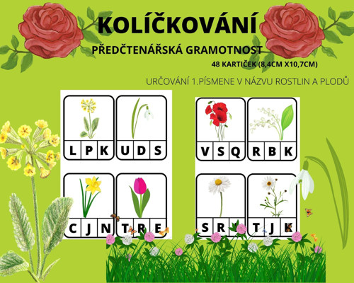 Květiny -předčtenářská gramotnost