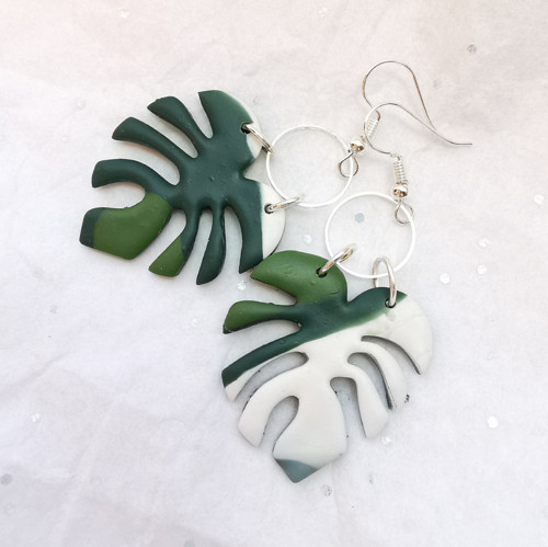 Monstera ... — foto 1