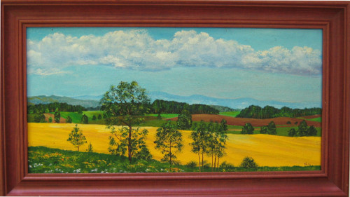 Řepkové pole — foto 1