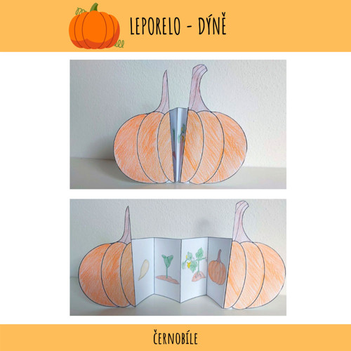 Leporelo dýně - PDF — foto 1