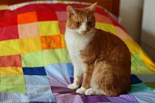 Dětská přikrývka patchwork — foto 1