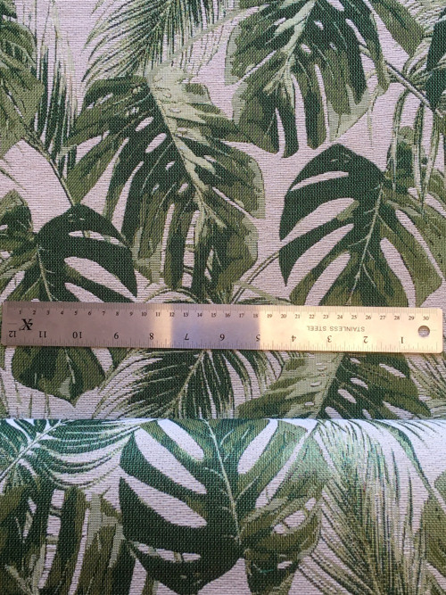 Monstera — foto 1
