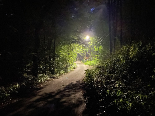 Již jedenáctá odbila, a lampa ještě svítila