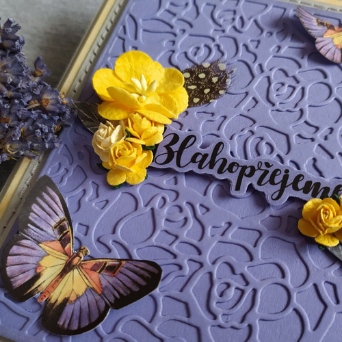 Blahopřání "Motýlí hra" — foto 1