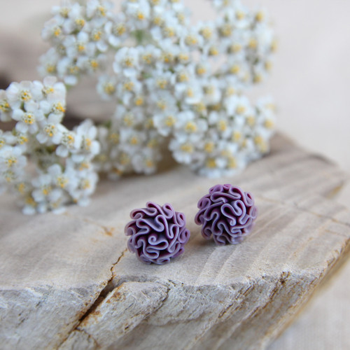 Náušnice purpurové — foto 1