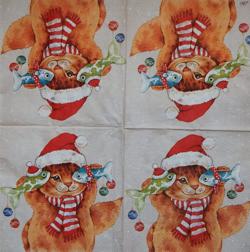 Kočička a rybky 3456 — foto 1