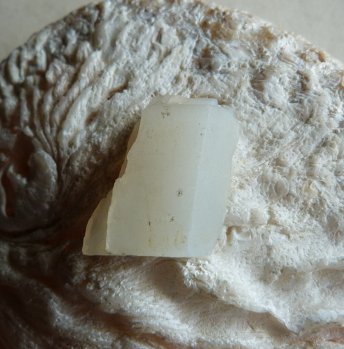 Měsíční kámen pravý surový - 2,8 cm