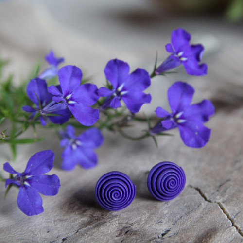 Spiral plum — foto 1
