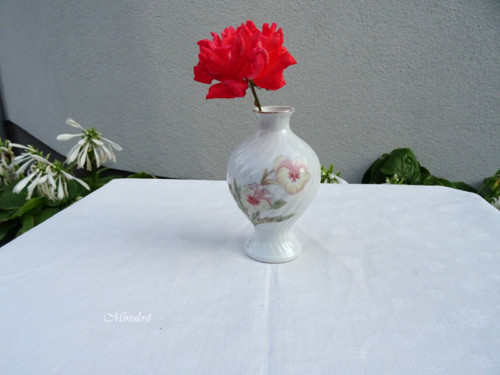 Macešky - vázička — foto 1