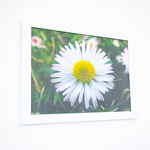 Obraz Nilo – design Bellis