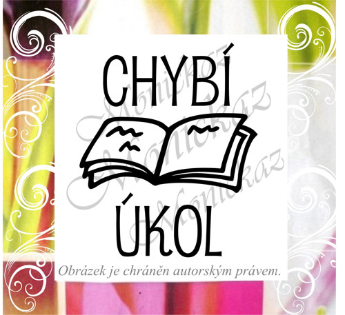Chybí úkol 175 c). Razítko motivační.