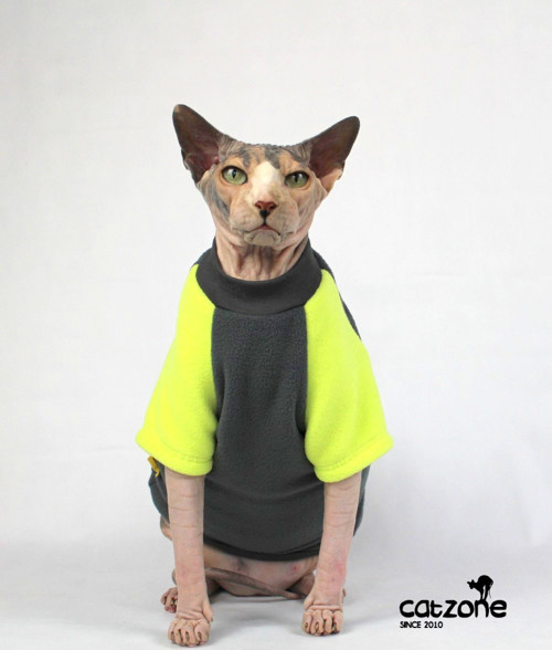 Mikina pro sphynx- raglan