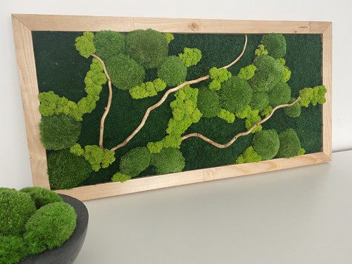 Mechový obraz 80x40cm