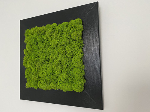 Mechový obraz 23x23cm