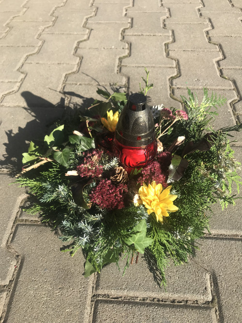 Dušičkový větší — foto 1