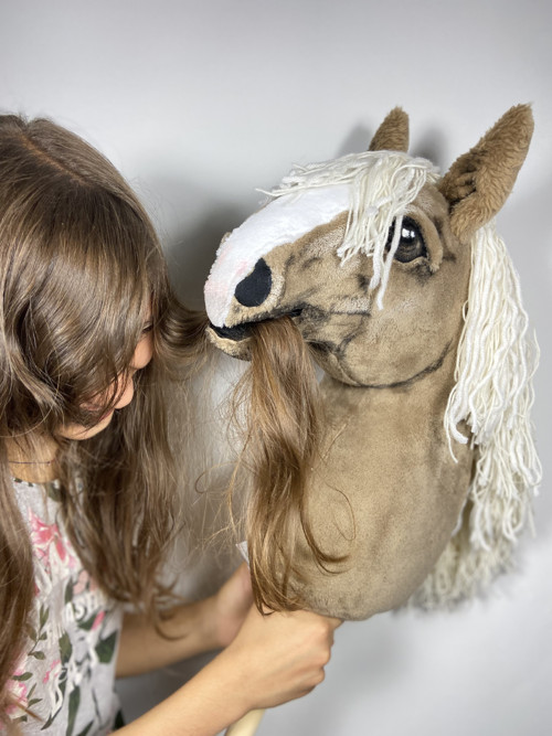 Pro milovnice HOBBY HORSE — foto 1