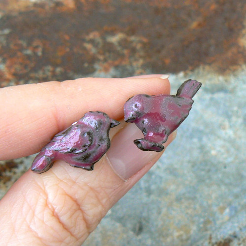 Ptáčci purpuroví — foto 1