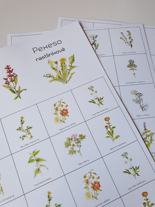 Pexeso -Lesné zvieratá Náučné — foto 1