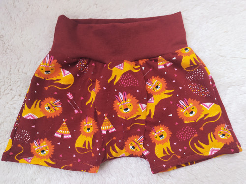 Boxerky lvíčci — foto 1