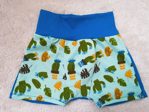 Boxerky kaktusy — foto 1