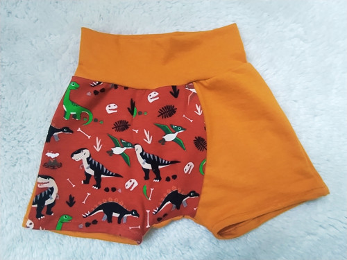 Boxerky dinosaurus — foto 1